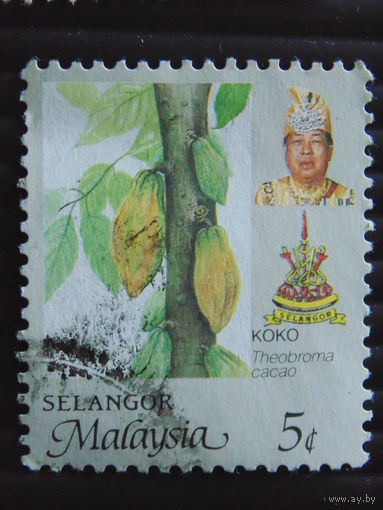 Малайзия. Флора.