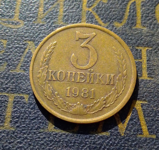 3 копейки 1981 СССР #39