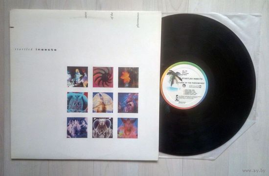 STARTLED INSECTS - Curse Of The Pheromones (CANADA винил LP 1987)