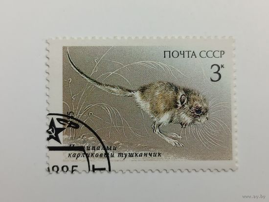 1985 СССР. Животные под защитой. Фауна. Пятипалый карликовый тушканчик