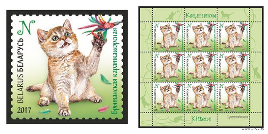 2017 БЕЛАРУСЬ  марка или малый лист  "Британская короткошерстная" MNH