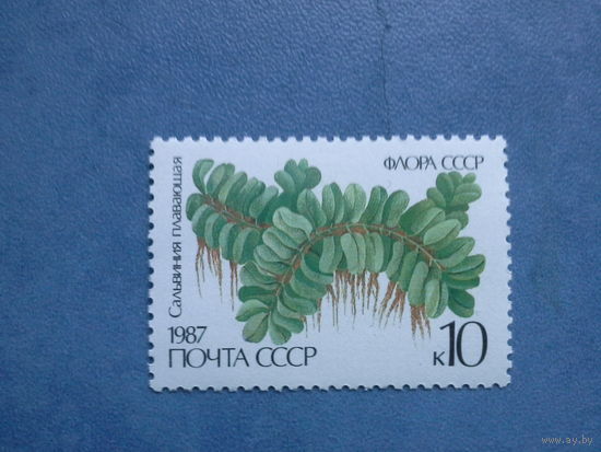 Ссср 1987. Сальвиния плавающая.
