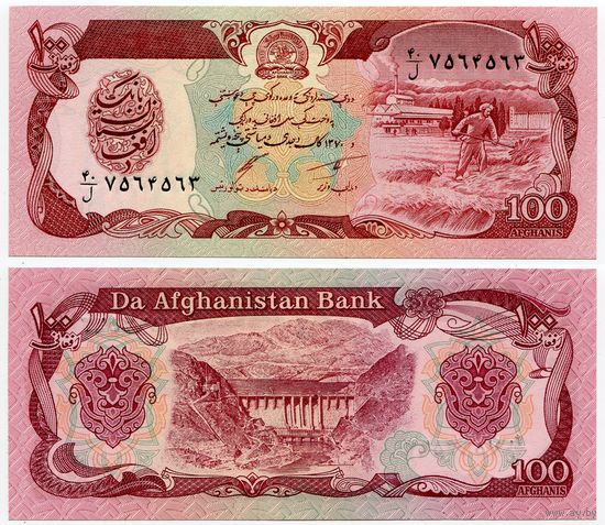 Афганистан. 100 афгани (образца 1991 года, P58c, UNC)