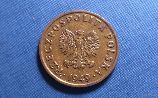5 грошей 1949. Бронза. Польша.  XF!