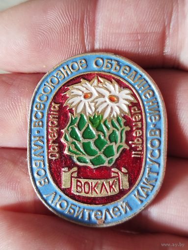 Клуб любителей кактусов