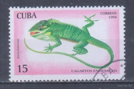 [1071] Куба 1994. Фауна.Ящерица. Гашеная марка. 1