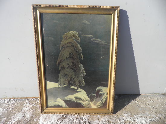 Картина На севере диком.Шишкин репродукция на картоне 70-е г.С рубля.