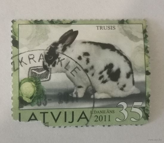 Год кролика (поврежденная марка)