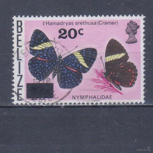 [1895] Белиз 1976. Фауна.Бабочка. НАДПЕЧАТКА. Гашеная марка.
