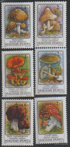 ВЕН. М. 3871/76. 1986. Грибы. чиСт.