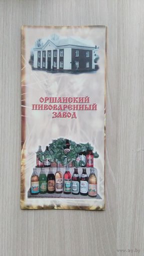 Буклет 10 Орша