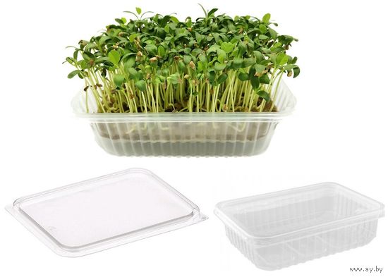 Лотки для микрозелени с крышками 25 штук