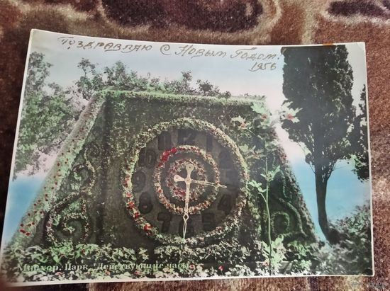 Открытка Мисхор Парк Действующие часы 1955г