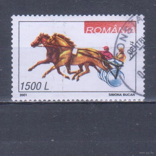 [74] Румыния 2001. Конный спорт.Лошади на почтовых марках.1500 л. Гашеная марка.
