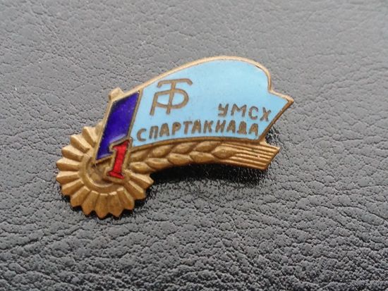 Спартакиада Трудовые резервы УМСХ 1 место т.м. эмаль