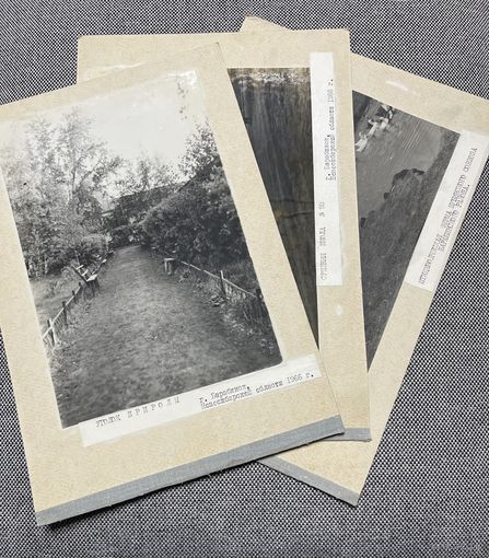 Фото г.Барабинск, Новосибирская обл. 1966 г. Школа, природа.