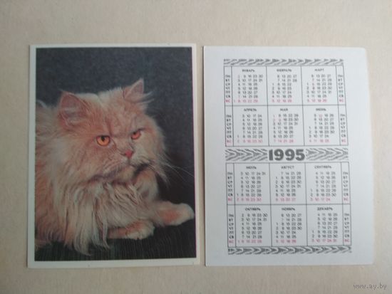Карманный календарик.Кошки.1995 год