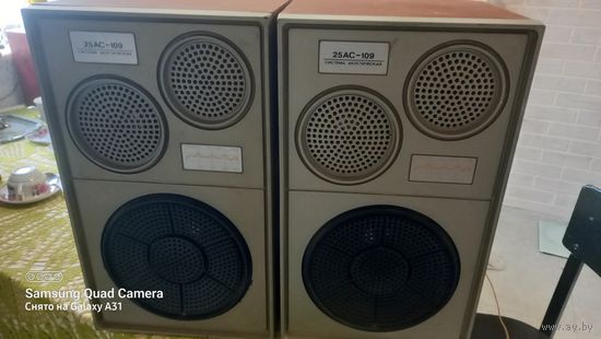 Колонки 25ас-109