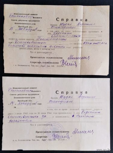 Две справки: О членстве в колхозе + О проживании и работе на оккупированной территории в годы войны. Бешенковичский раион. Цена за 2