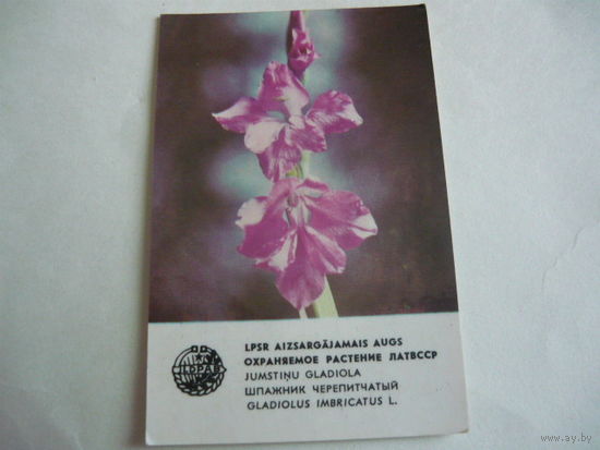 Календарик.Охранямое растение Лат.ССР.