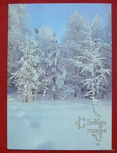 С новым годом! Чистая. 1990 года. Буркина. 757.