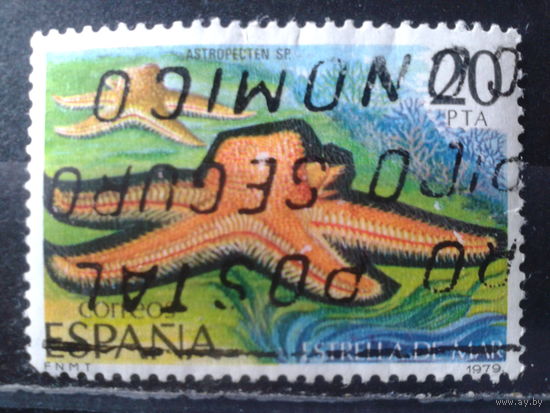 Испания 1979 Морская звезда