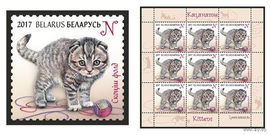 2017 БЕЛАРУСЬ  марка или малый лист  "Скоттиш фолд" MNH