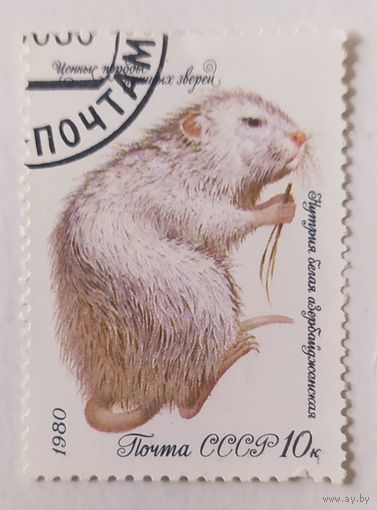 СССР 1980, нутрия белая