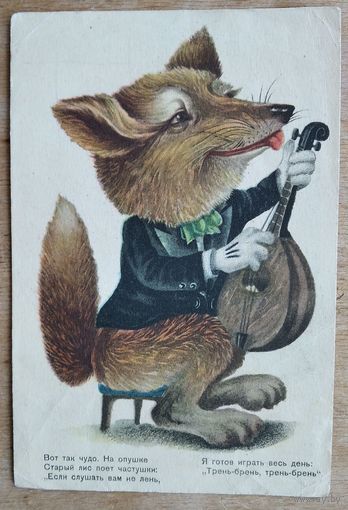Старый лис-музыкант. 1950-е. СССР.