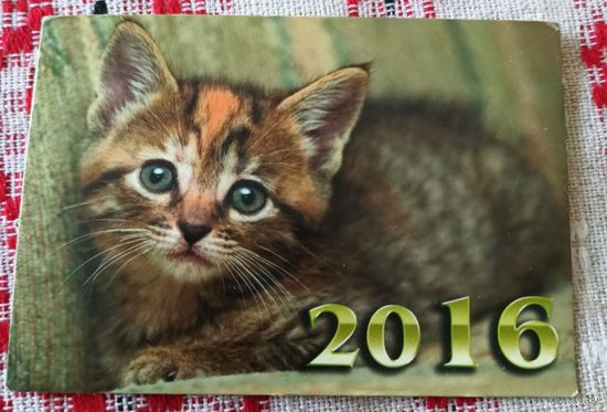 Календарик 2016г..Котенок