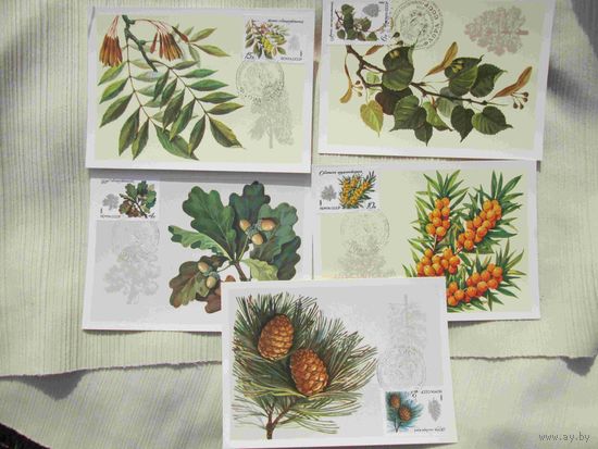 Картмаксимум СССР