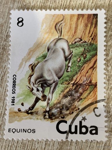 Куба 1981. Лошадь. Марка из серии