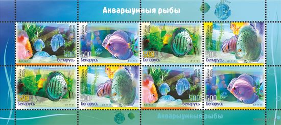 2006 БЕЛАРУСЬ   малый лист коллекционных марок Аквариумные рыбы.Дискус  MNH
