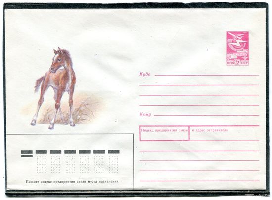 СССР 1987. ХМК. Конверт. Фауна. Жеребенок. Худ. А.Исаков