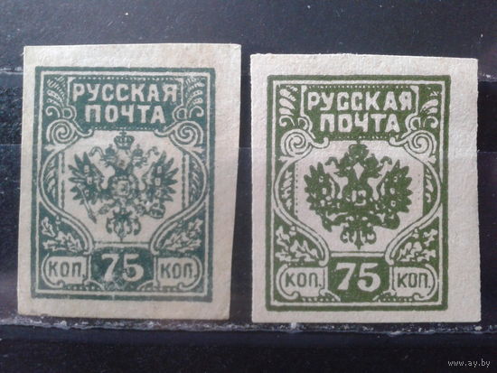 Россия 1919 Гражданская война 75 коп* разный цвет
