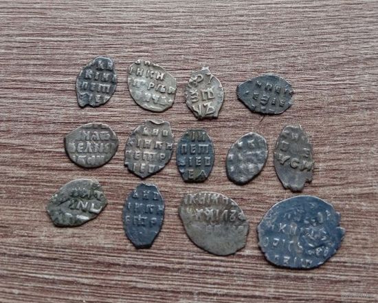 Чешуйки копейки 13 шт