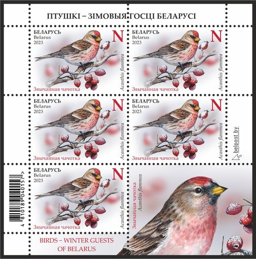 2023г Беларусь MNH Малый лист "Птицы – зимние гости Беларуси"