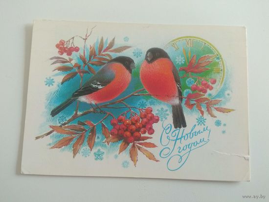 Иванов. 1984