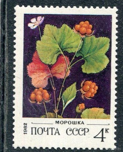 СССР 1982. Флора. Ягоды. Морошка