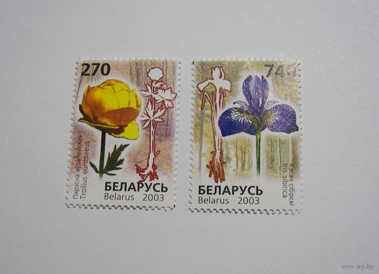 Марки РБ. Цветы. Купальница европейская. Ирис. 2м. 2003