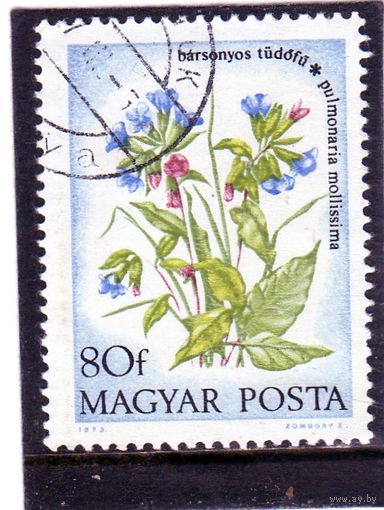 Венгрия.Ми-2889. Пульмонария. Серия: Цветы.1984.
