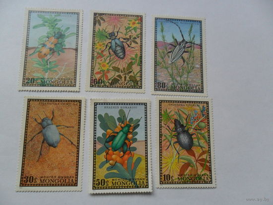 Монголия, жуки