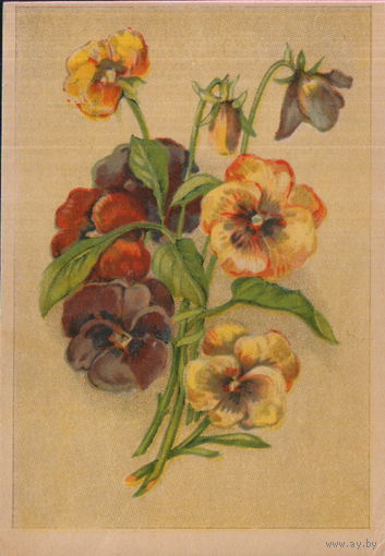 Подписанная открытка "Анютины глазки"