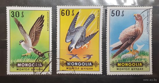 Монголия. Фауна. Птицы (417)