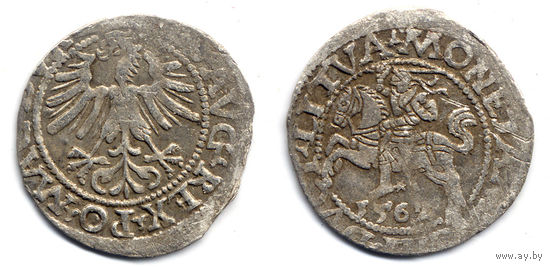 Полугрош 1562, Жигимонт Август, Вильно. Ошибка в легенде - DVCT. Редкий, RR!