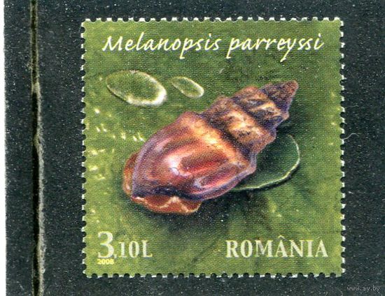 Румыния. Фауна. Водяная улитка