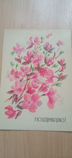 Открытка поздравляю чистая. Соколова