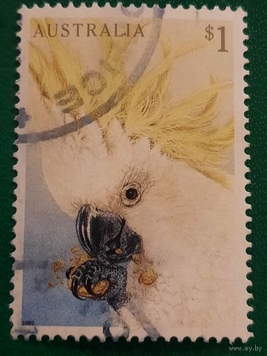 Австралия 1991. Фауна. Птицы