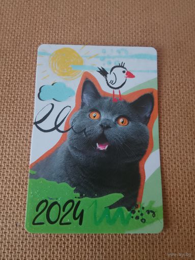 Карманный календарик. Котик. 2024 год