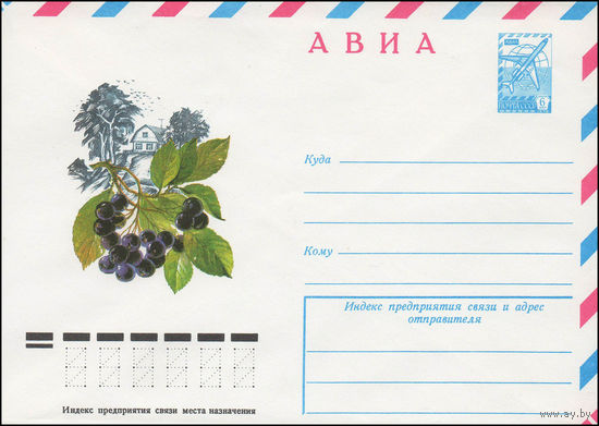 Художественный маркированный конверт СССР N 12861 (31.05.1978) АВИА  [Черноплодная рябина]